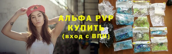 соль ск Надым