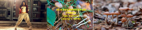 молекула духа Нефтекумск