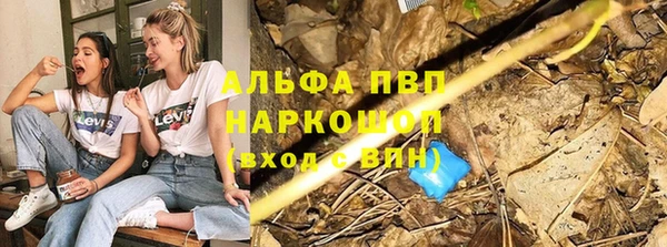 молекула духа Нефтекумск