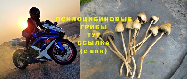 молекула духа Нефтекумск