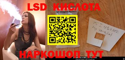 винт Донецк