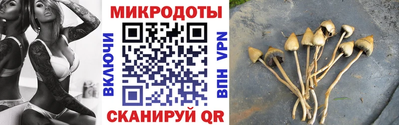 где найти   Морозовск  гидра как зайти  Псилоцибиновые грибы прущие грибы 