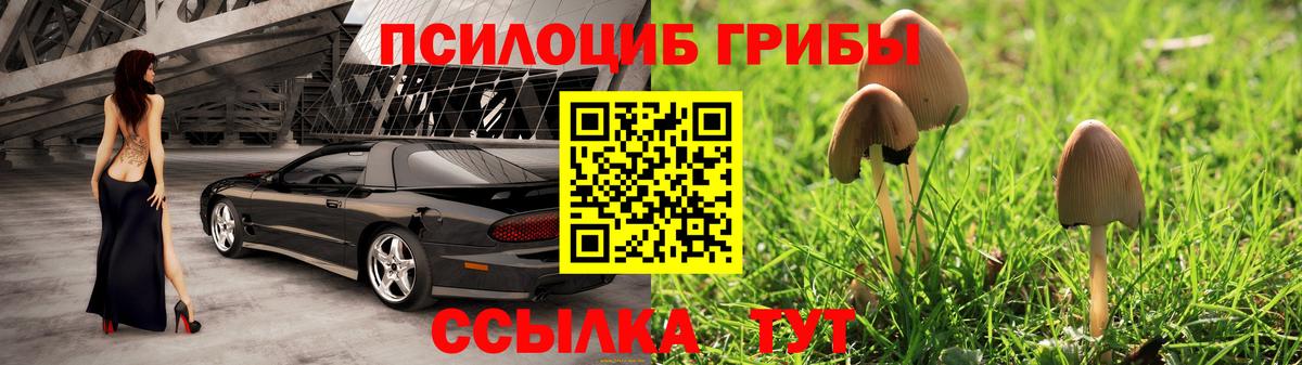 Галлюциногенные грибы MAGIC MUSHROOMS Морозовск