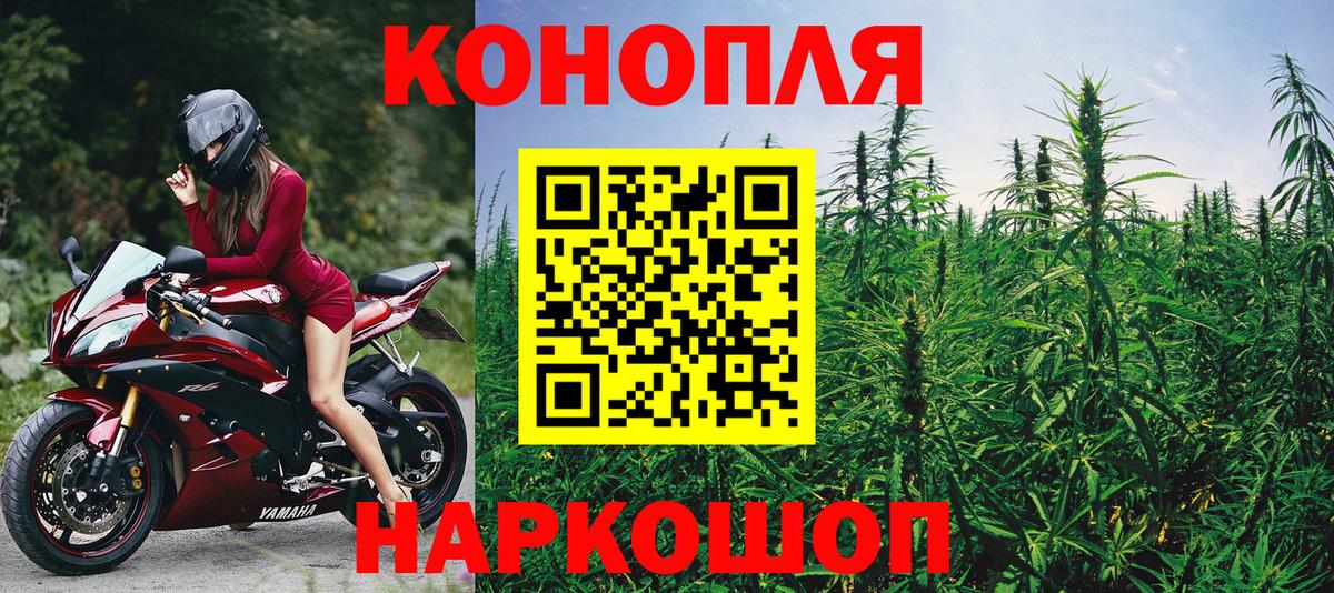 Шишки марихуана марихуана Морозовск